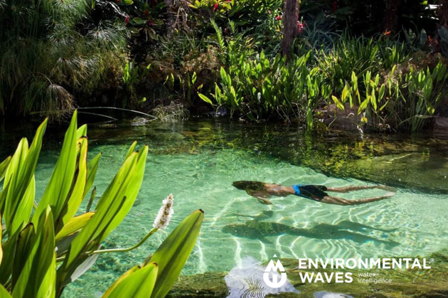 POOL NATUREWAVES - Piscina natural de &uacute;ltima generaci&oacute;n