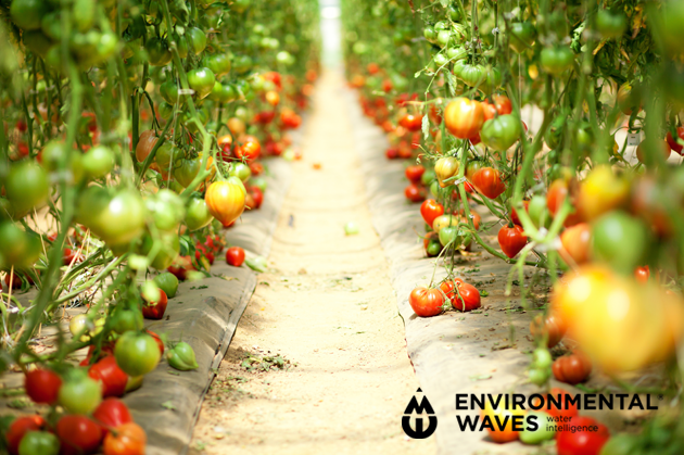 O3WAVES - application de l'eau d'ozone en agriculture