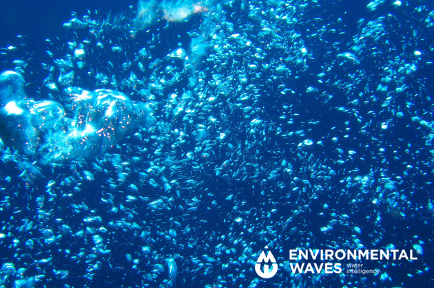 O3WAVES - reaproveitamento da �gua da piscina
